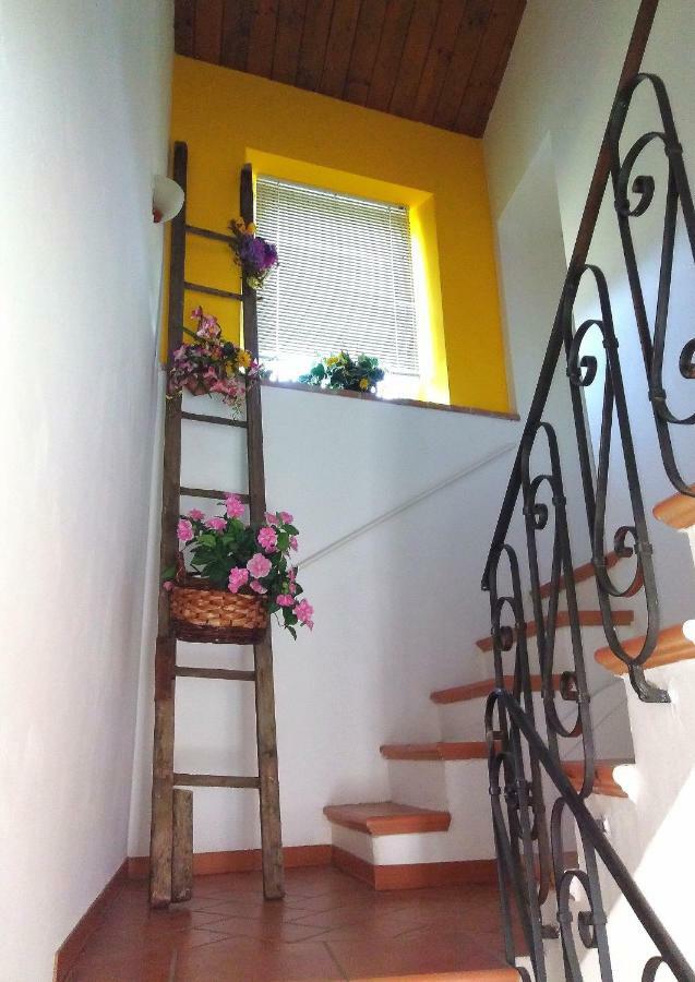 Casa Di Mamma Casa Vacanze 제냐 외부 사진
